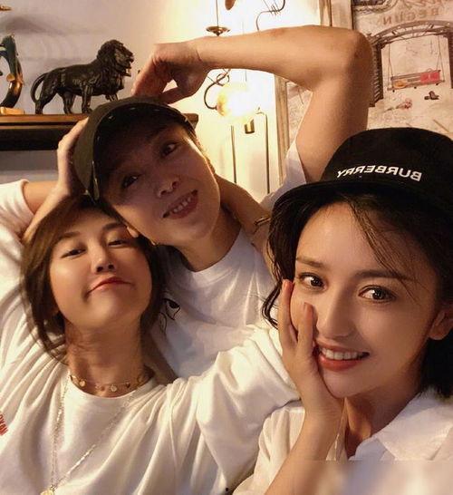 台湾爆料狗仔视频大全集,揭秘娱乐圈幕后真相  第1张